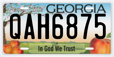 GA license plate QAH6875