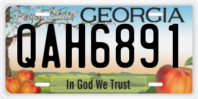 GA license plate QAH6891