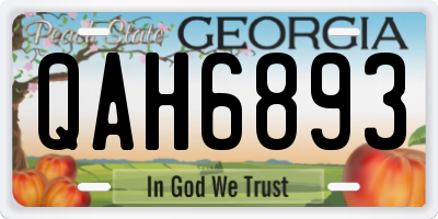 GA license plate QAH6893