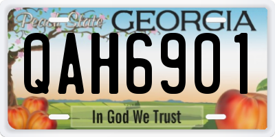 GA license plate QAH6901