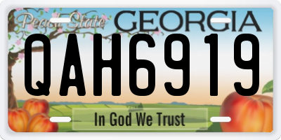 GA license plate QAH6919