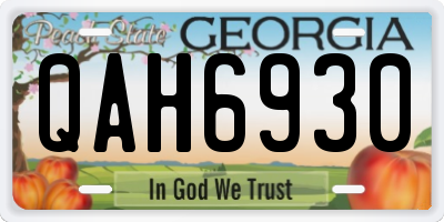 GA license plate QAH6930