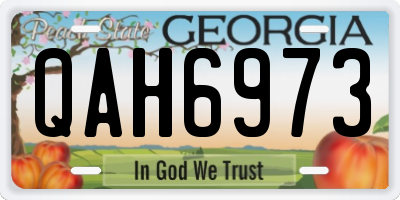 GA license plate QAH6973