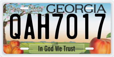 GA license plate QAH7017
