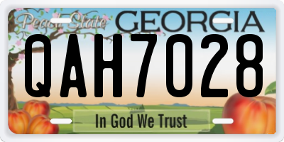 GA license plate QAH7028