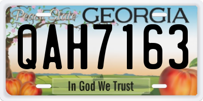 GA license plate QAH7163
