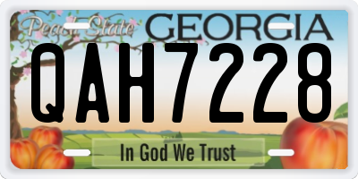 GA license plate QAH7228