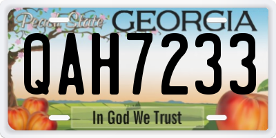GA license plate QAH7233