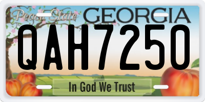 GA license plate QAH7250