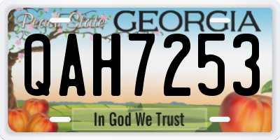 GA license plate QAH7253