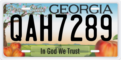 GA license plate QAH7289