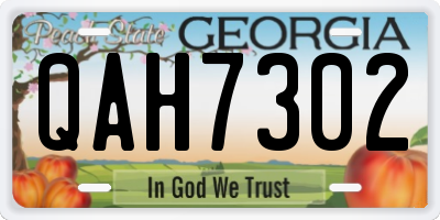 GA license plate QAH7302