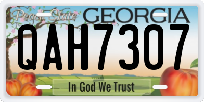 GA license plate QAH7307