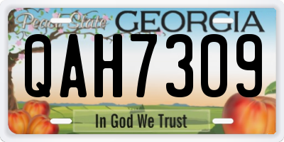 GA license plate QAH7309