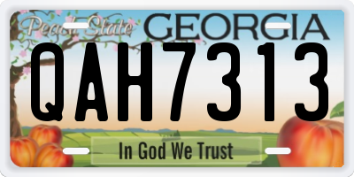 GA license plate QAH7313