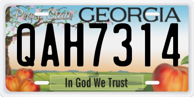 GA license plate QAH7314