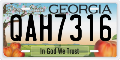 GA license plate QAH7316
