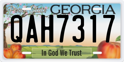 GA license plate QAH7317