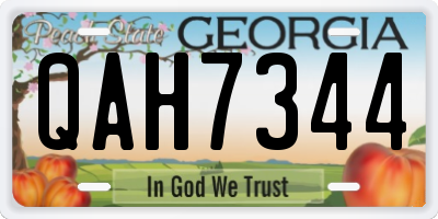 GA license plate QAH7344