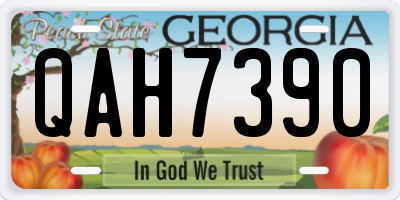 GA license plate QAH7390