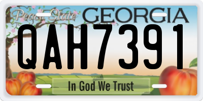 GA license plate QAH7391