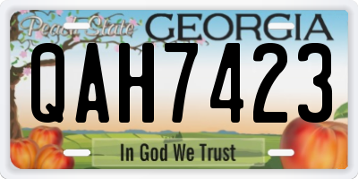 GA license plate QAH7423