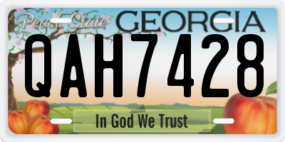 GA license plate QAH7428