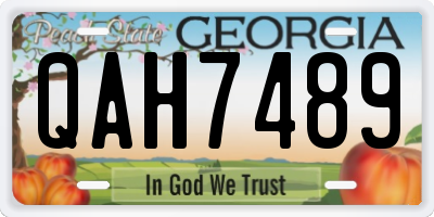 GA license plate QAH7489