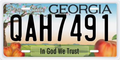 GA license plate QAH7491