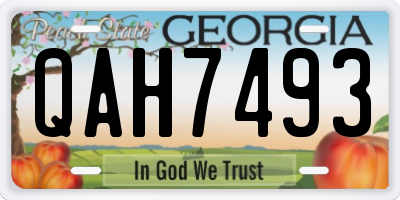 GA license plate QAH7493