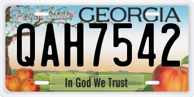 GA license plate QAH7542