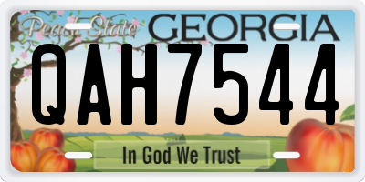 GA license plate QAH7544