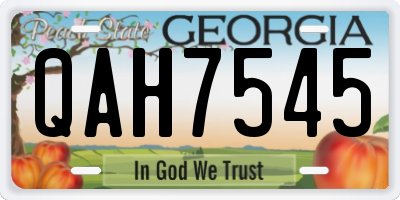 GA license plate QAH7545
