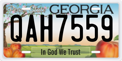 GA license plate QAH7559