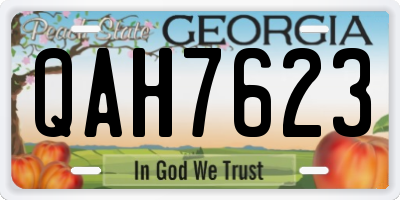 GA license plate QAH7623