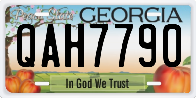 GA license plate QAH7790