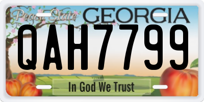 GA license plate QAH7799