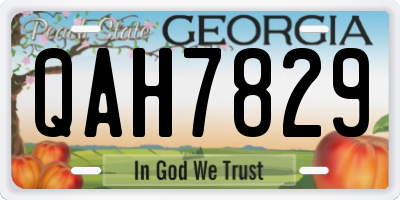 GA license plate QAH7829