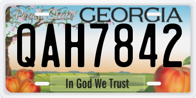 GA license plate QAH7842