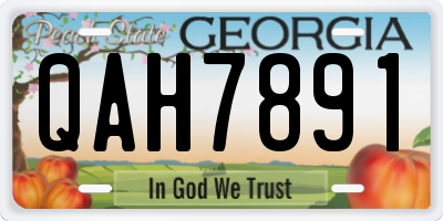 GA license plate QAH7891