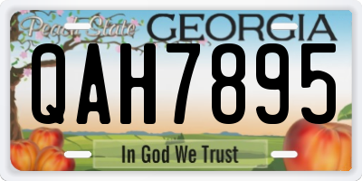 GA license plate QAH7895