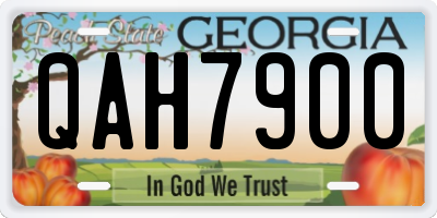 GA license plate QAH7900