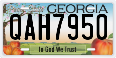 GA license plate QAH7950
