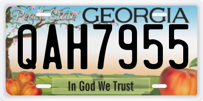 GA license plate QAH7955