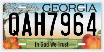 GA license plate QAH7964