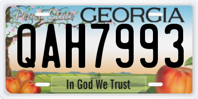 GA license plate QAH7993