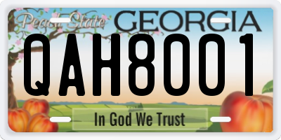 GA license plate QAH8001