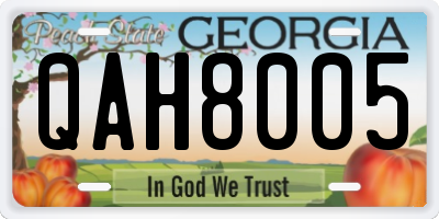 GA license plate QAH8005
