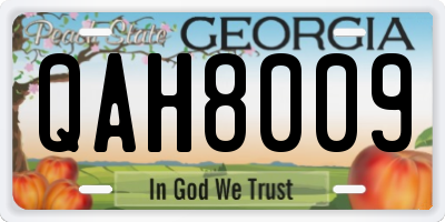 GA license plate QAH8009