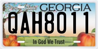 GA license plate QAH8011